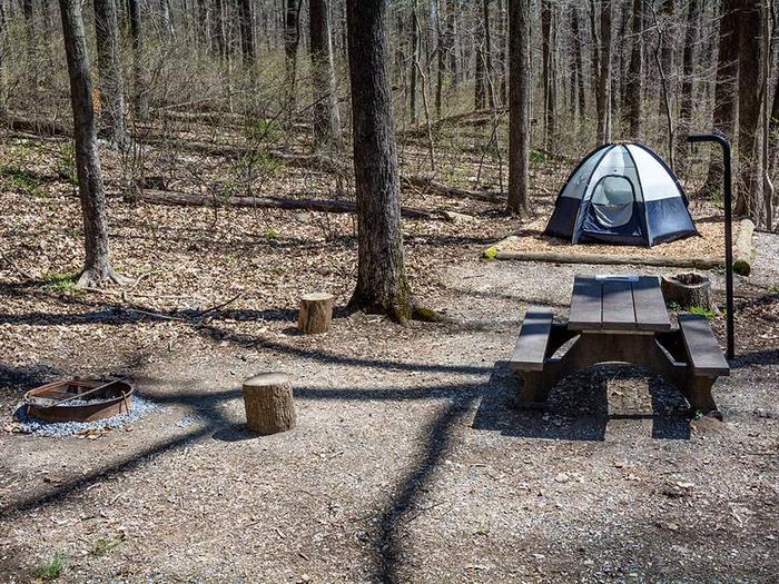 campsite with picnic table, fire ring, tent pad and blue tentOwens Creek Site #37