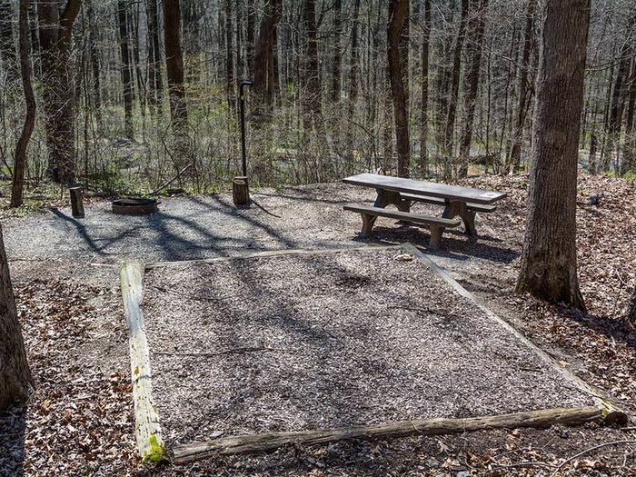 campsite with picnic table, fire ring, tent padOwens Creek Site #38