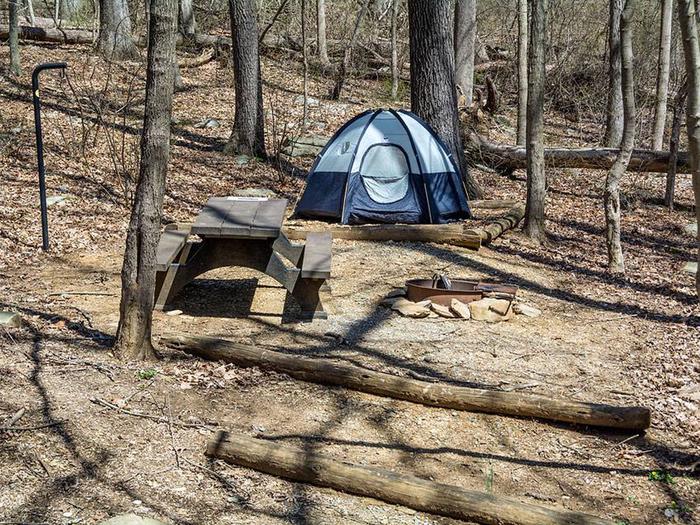 campsite with picnic table, fire ring, tent pad and blue tentOwens Creek Site #39