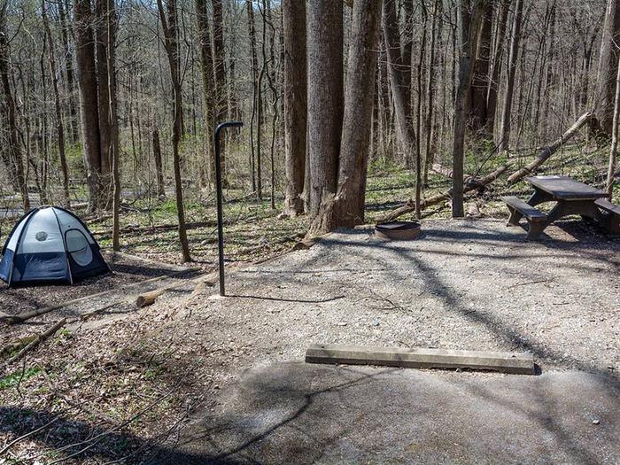 campsite with picnic table, fire ring, tent pad and blue tentOwens Creek Site #41