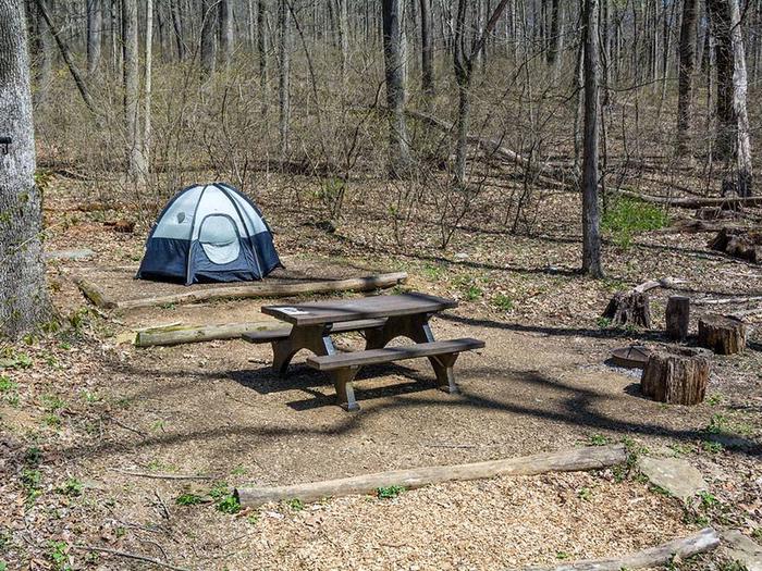 campsite with picnic table, fire ring, tent pad and blue tentOwens Creek Site #42