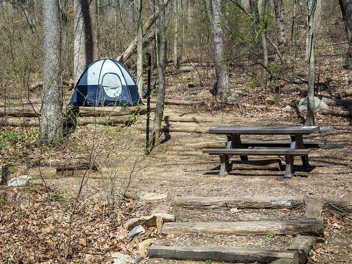 campsite with picnic table, fire ring, tent pad and blue tent and stairs to the siteOwens Creek Site #44