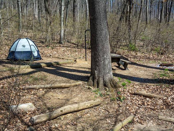 campsite with picnic table, fire ring, tent pad and blue tentOwens Creek Site #45