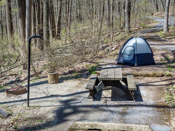 campsite with picnic table, fire ring, tent pad and blue tentOwens Creek Site #47