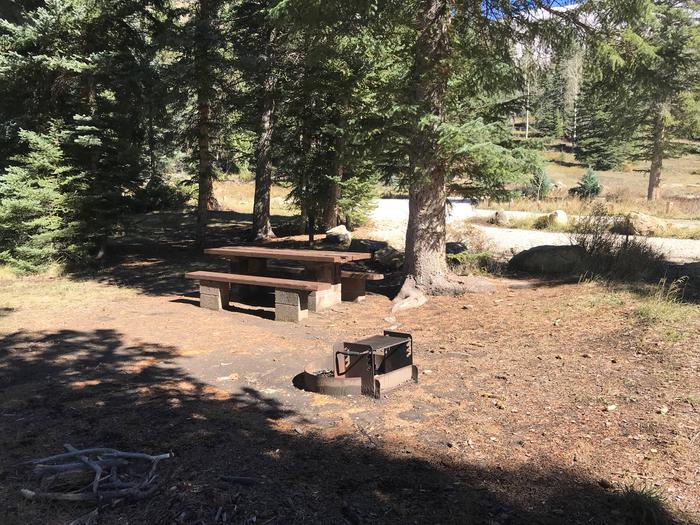 Old Folks Flat Campground Site #2