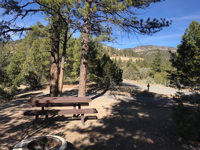 Joes Valley Campground Site 9