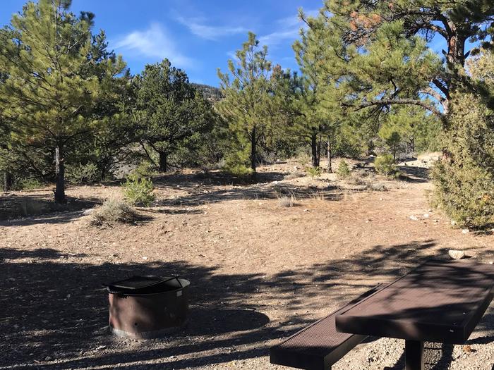 Joes Valley Campground Site 19