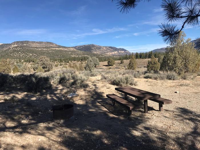 Joes Valley Campground Site 20