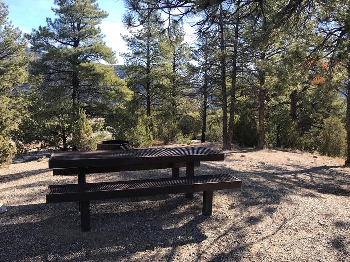 Joes Valley Campground Site 21