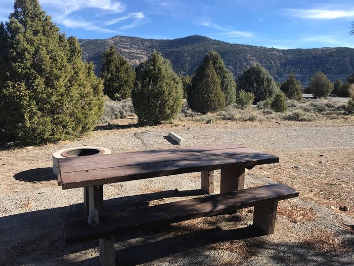 Joes Valley Campground Site 22