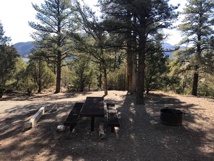 Joes Valley Campground Site 23
