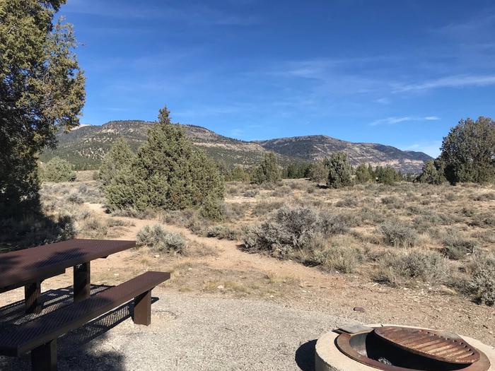 Joes Valley Campground Site 26