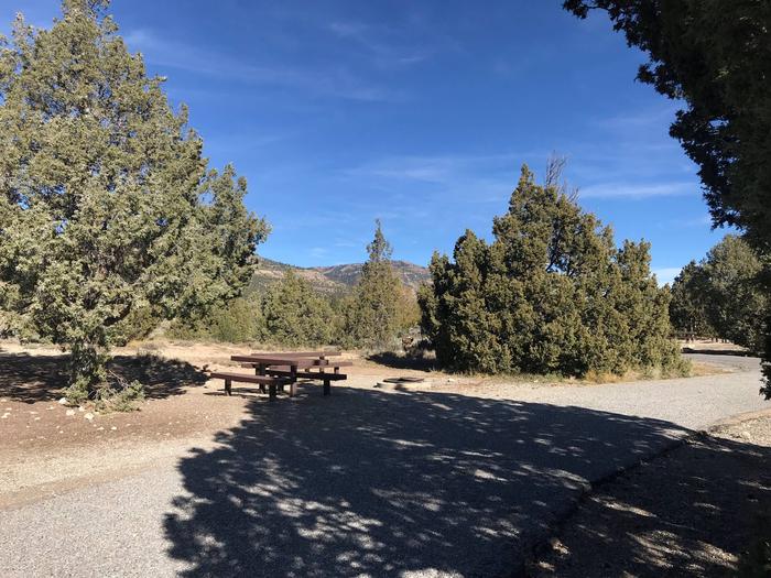 Joes Valley Campground Site 28