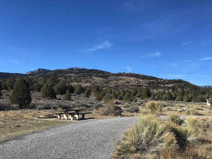 Joes Valley Reservoir Campground Site 41