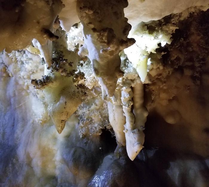 white stalactites with moisture poised to dripLiving cave formations
