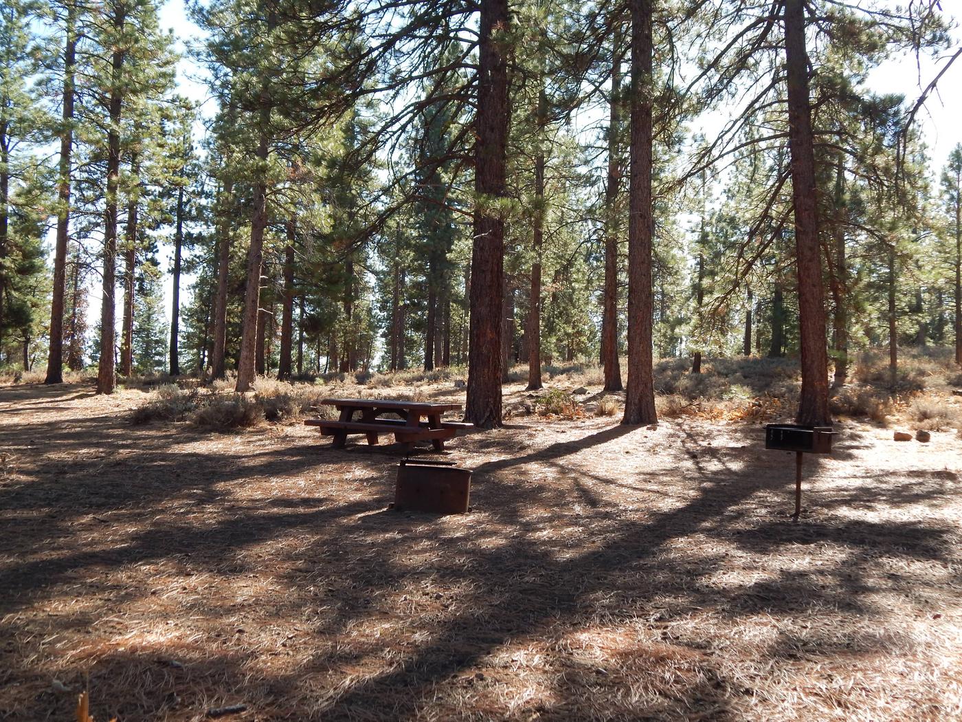 Site 001, Logger Campground - Recreation.gov