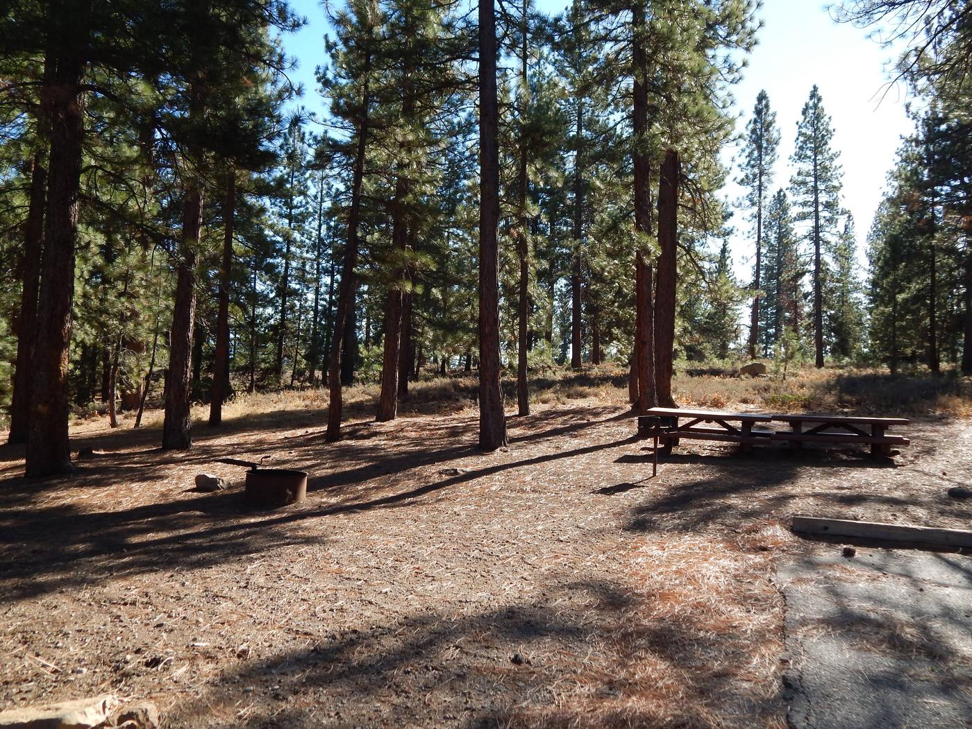 Site 003, Logger Campground - Recreation.gov