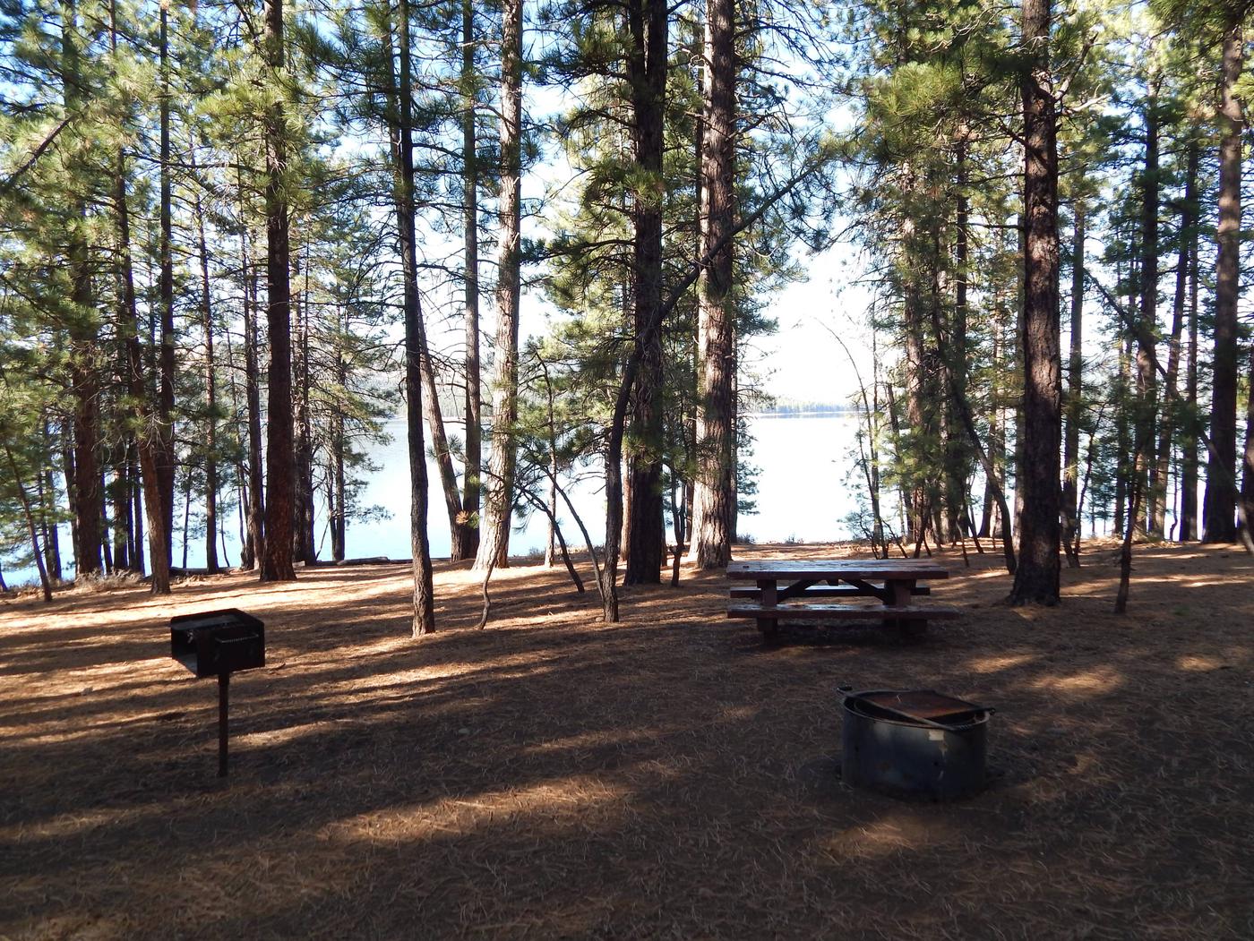 Site 139, Logger Campground - Recreation.gov