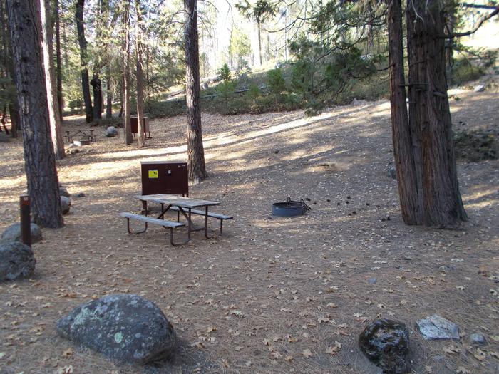 Food locker, picnic table, and fire ringSite 88