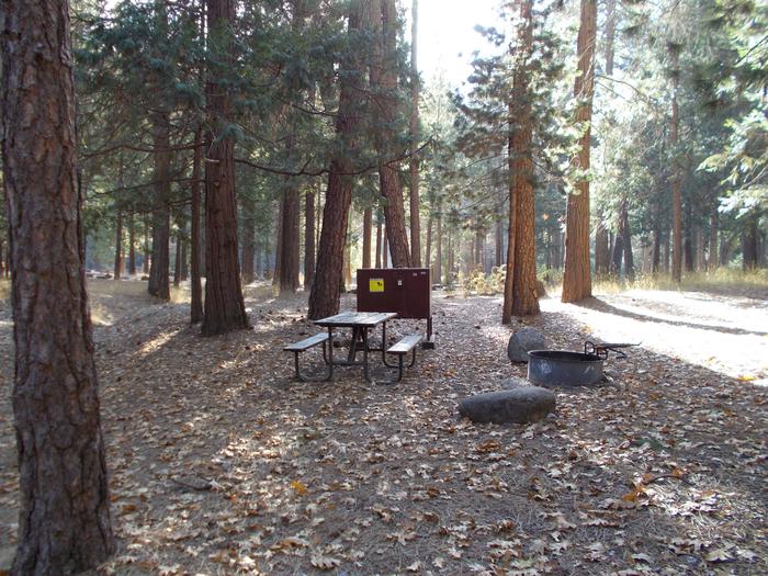 Food locker, picnic table, and fire ringSite 86