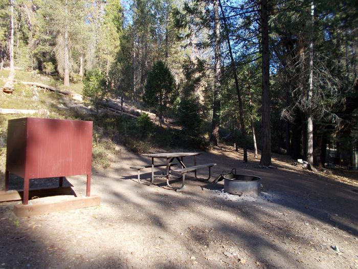 Food locker, picnic table, and fire ringSite 83