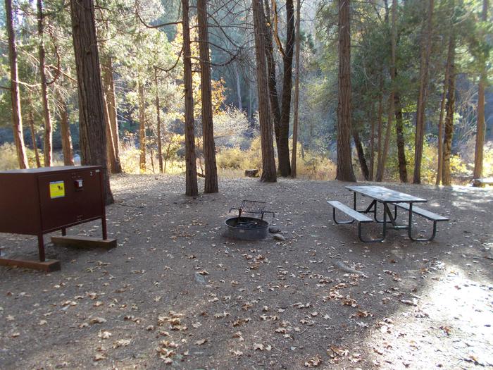 Food locker, picnic table, and fire ringSite 2