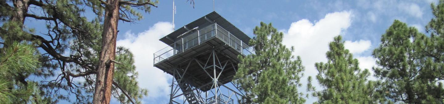 Gentry Fire Watch Tower amid Ponderosa pine treesGentry Fire Tower at Gentry Campground