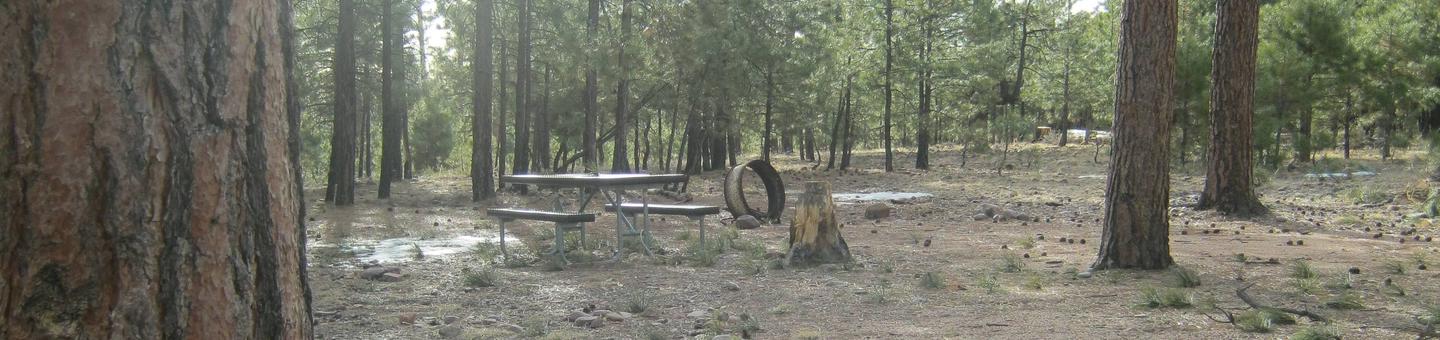 View of Black Canyon Rim Campground site 3 showing picnic table and upturned fire ring (picture is taken during off-season)Black Canyon Rim Campground Site 3