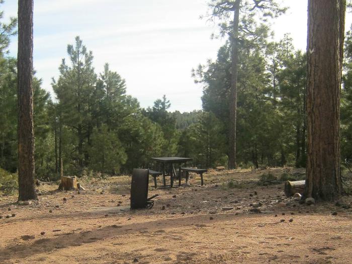 view of campsite 5 showing picnic table and fire ringSite 5, Black Canyon Rim Campground