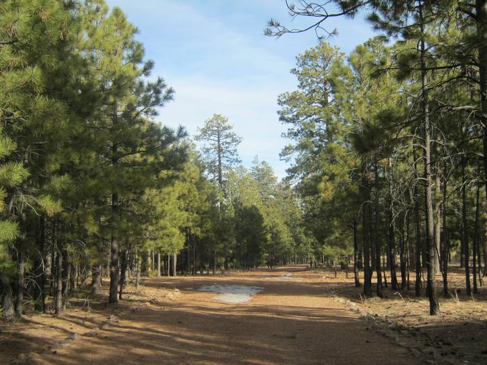 Preview photo of Black Canyon Rim Campground (Apache-Sitgreaves National Forest, AZ)