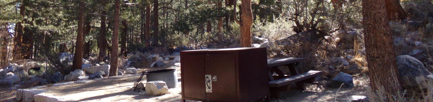 Big Pine Creek Campground Site #2 featuring picnic table, food storage, and fire pit.