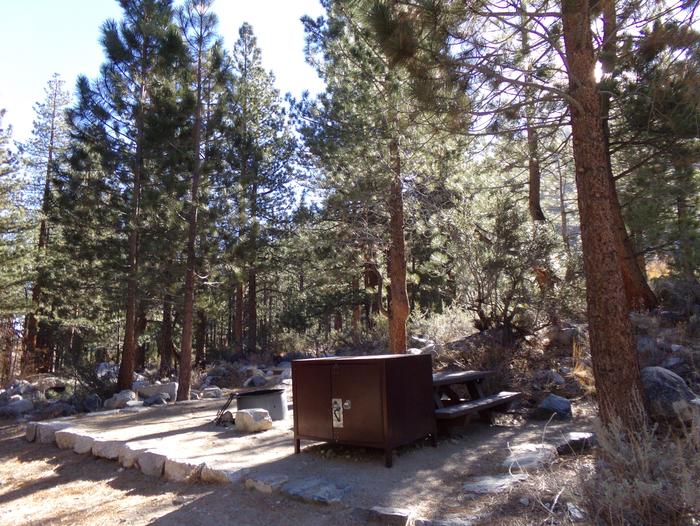 Big Pine Creek Campground Site #2 featuring picnic table, food storage, and fire pit.Campsite #2 featuring picnic area with bear-resistant food container, fire pit, and camp space among the tall pines.