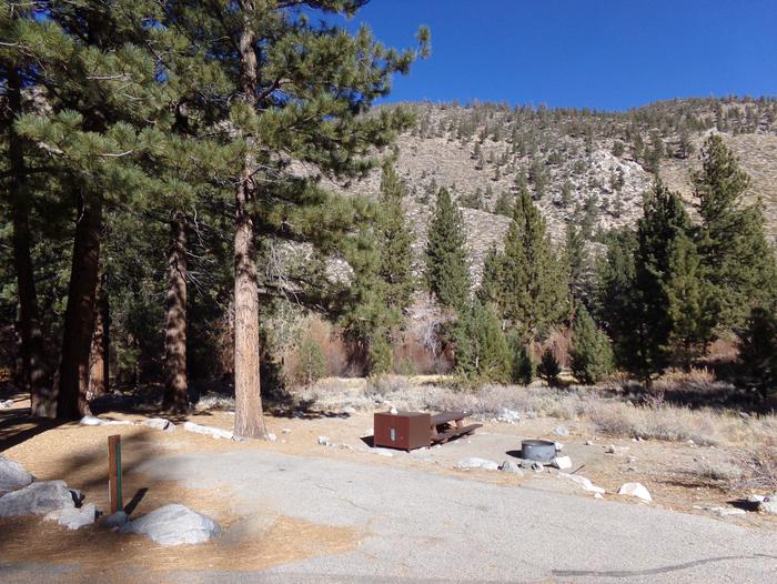 Big Pine Creek Campground Site #6 with camping space and mountain views.Big Pine Creek Campground Site #6 with views of the pines and mountain, parking for site, and camping space with table, bear resistant container, and fire pit.
