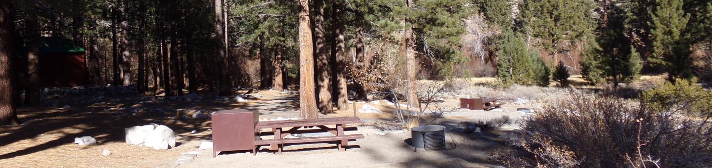 Big Pine Creek Campground Site #7 featuring picnic table, food storage, and fire pit.