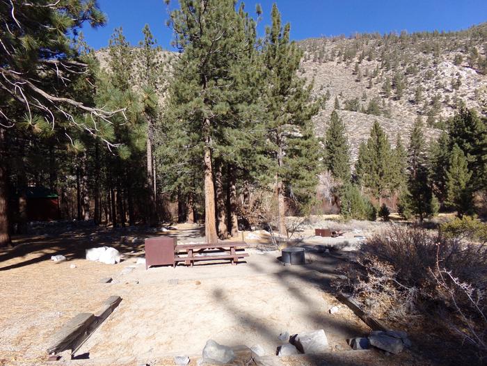 Big Pine Creek Campground Site #7 camping space and mountain views.Big Pine Creek Campground Site #7 featuring pines and mountain views along with camping space with provided picnic table, bear resistant food container, and fire pit.