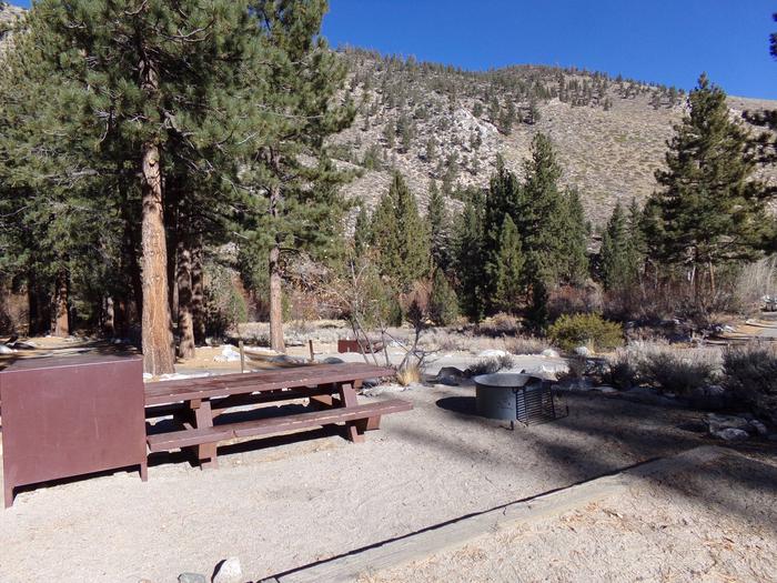 Big Pine Creek Campground Site #7 with picnic table and fire pit.