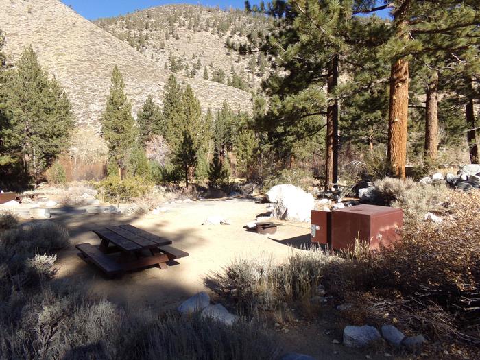 Big Pine Creek Campground Site #8 views and campsiteCampsite #8 featuring picnic area, parking space, and mountain views. 