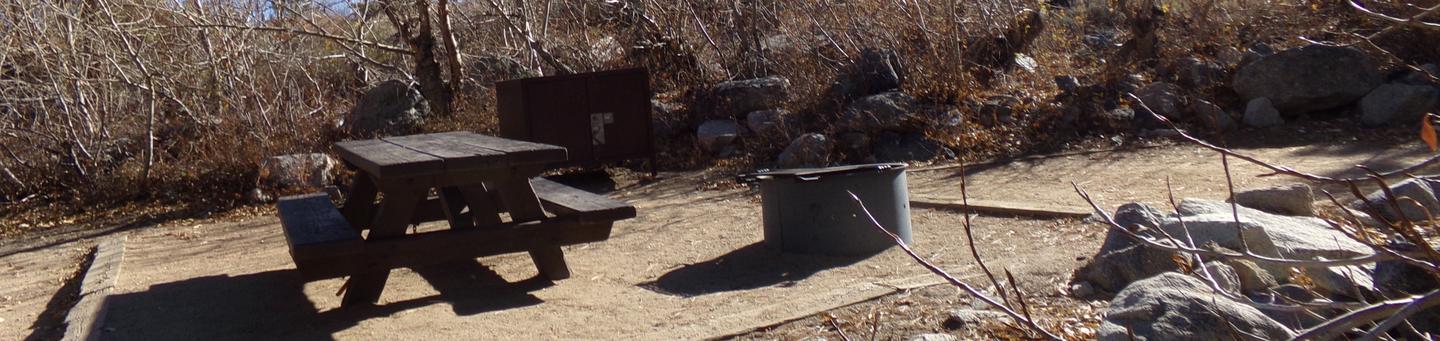 Big Pine Creek Campground Site #11 featuring picnic table, food storage, and fire pit.
