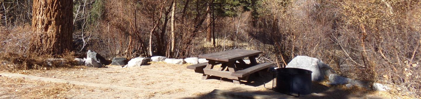 Big Pine Creek Campground Site #12 featuring picnic table, food storage, and fire pit.
