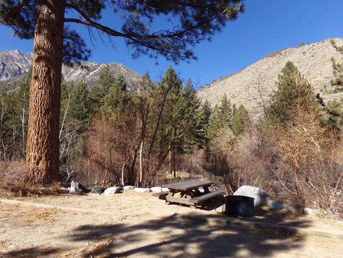 Big Pine Creek Campground Site #12 with views and provided camping space.Campsite #12 featuring picnic area with bear-resistant food container, fire pit, and camp space among the tall pines and mountain views.