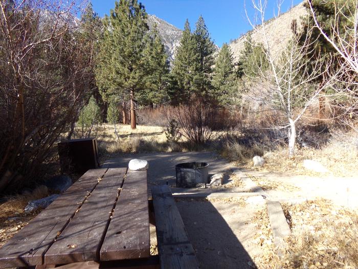 Big Pine Creek Campground Site #14 featuring picnic table, food storage, and fire pit.Mountain and pine tree views from site #14 along with the provided picnic table, fire pit, camping space, and bear resistant food storage. 