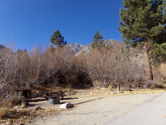 Big Pine Creek Campground Site #16 featuring picnic table, food storage, and fire pit.