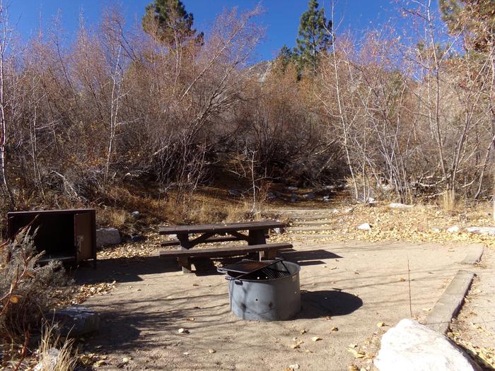 Big Pine Creek Campground Site #16 featuring picnic table, food storage, and fire pit.