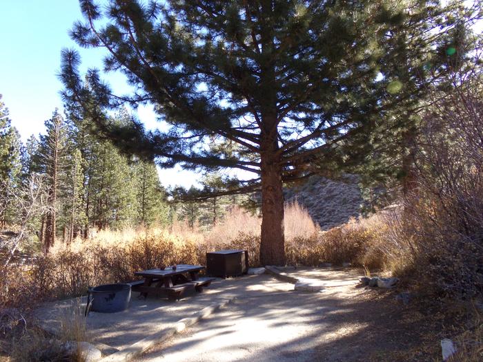 Big Pine Creek Campground Site #17 featuring picnic table, food storage, and fire pitSite #17 camping space with picnic table, bear resistant food storage, and fire pit. Campsite is close to the creek that runs through the campground. 