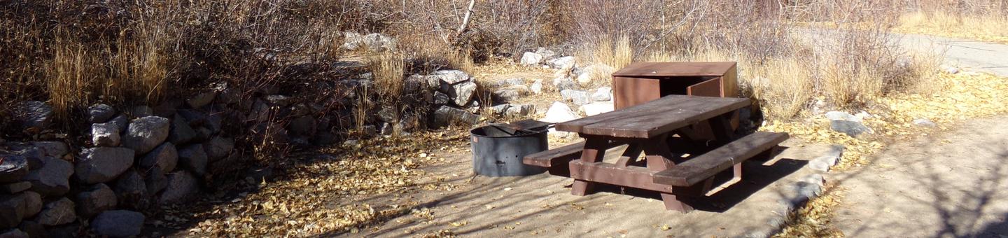 Big Pine Creek Campground Site #18 featuring picnic table, food storage, and fire pit. 