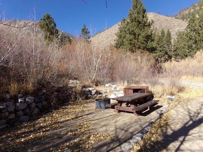 Big Pine Creek Campground Site #18 featuring picnic table, food storage, and fire pit. Big Pine Creek Campground Site #18 featuring pines and mountain views along with camping space with provided picnic table, bear resistant food container, and fire pit.
