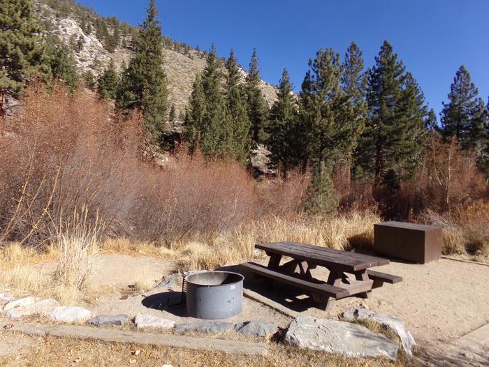 Big Pine Creek Campground Site #19 featuring picnic table, food storage, and fire pit.Big Pine Creek Campground Site #19 featuring pines and mountain views along with camping space with provided picnic table, bear resistant food container, and fire pit.