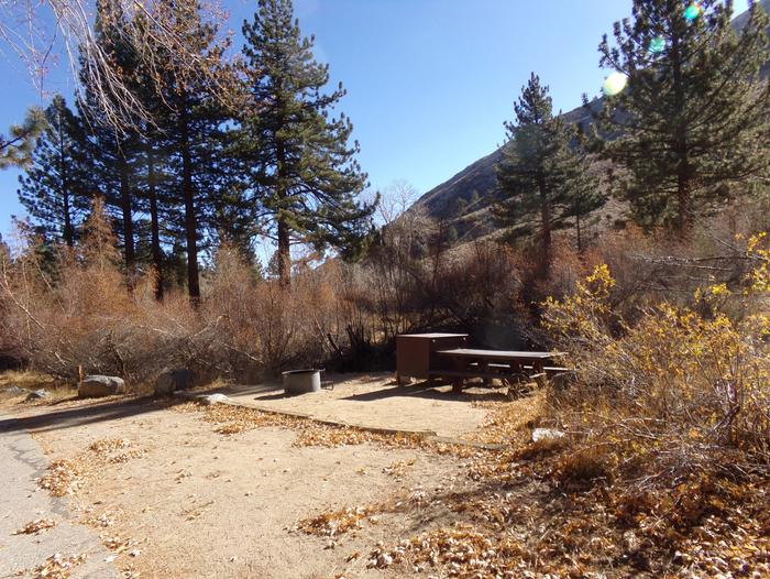 Big Pine Creek Campground Site #20 camping space and mountain views.Site #20 featuring pines and mountain views along with camping space with provided picnic table, bear resistant food container, and fire pit.
