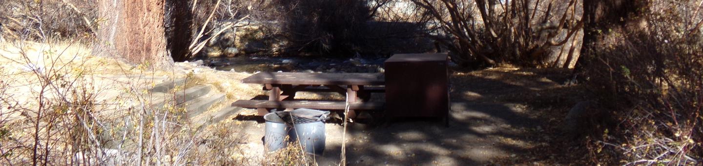Big Pine Creek Campground Site #21 featuring picnic table, food storage, and fire pit.