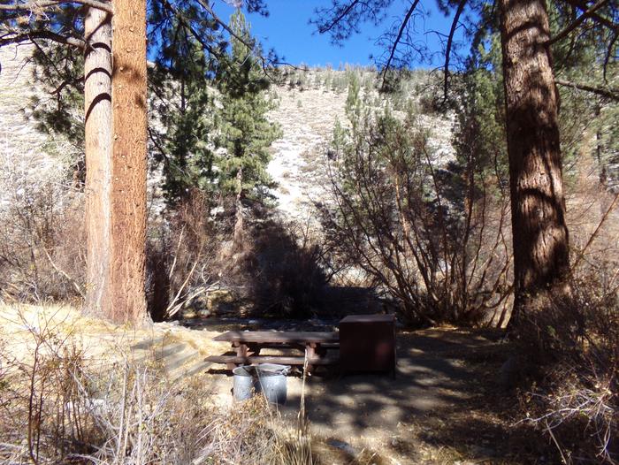 Big Pine Creek Campground Site #21 camping space and mountain views.Site #21 featuring pines and mountain views along with camping space with provided picnic table, bear resistant food container, and fire pit.